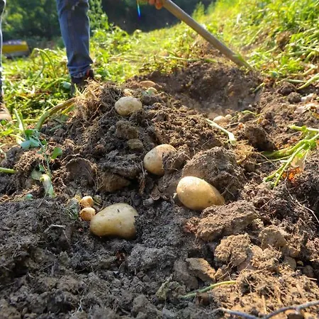 Séjour à la ferme La Vecchia Cascina