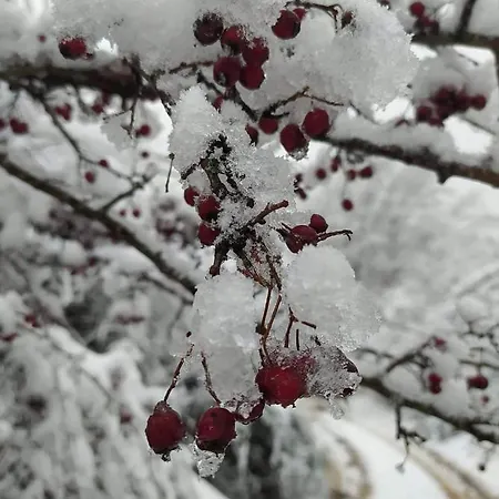 La Vecchia Cascina Filattiera